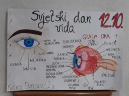 sdvida1